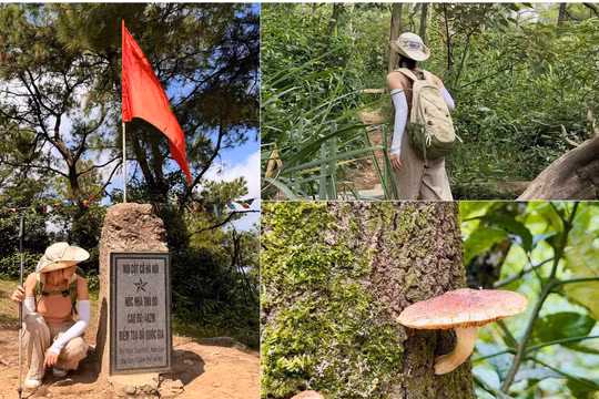 Trekking Hàm Lợn: Khi người trẻ tìm một cuộc hẹn trên đường núi