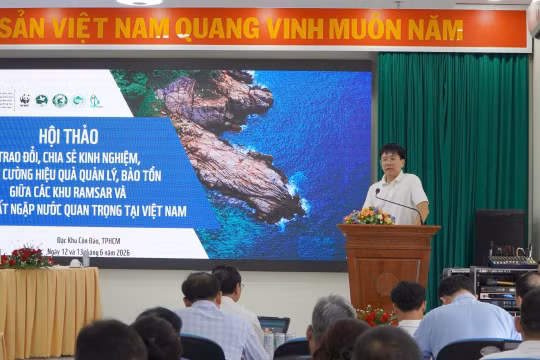 Ông Nguyễn Xuân Dũng, Trưởng phòng sinh thái & cảnh quan thiên nhiên, Cục Bảo tồn thiên nhiên và Đa dạng sinh học thuộc Bộ NN&MT. Ảnh: Lê Bình