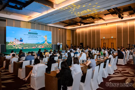 Gia tăng tỷ lệ thừa cân và thiếu hụt vi chất: Cần những giải pháp dinh dưỡng thực tiễn 