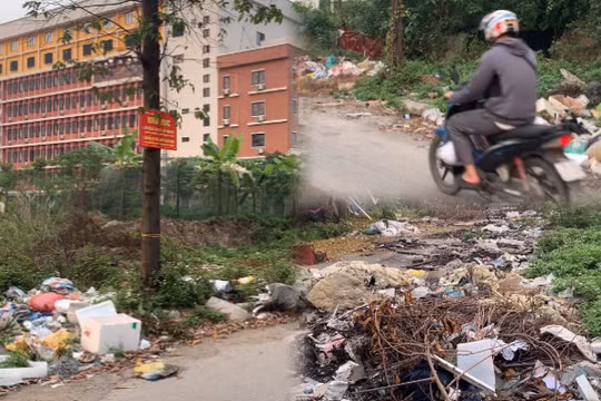 Hà Nội: Rác tự phát bủa vây khu đất dịch vụ Vạn Phúc