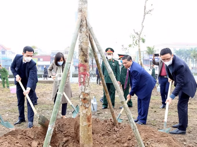 hai phong trong hang nghin cay xanh dip xuan nham dan 2022 hinh 1