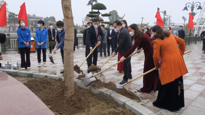 hai phong trong hang nghin cay xanh dip xuan nham dan 2022 hinh 2