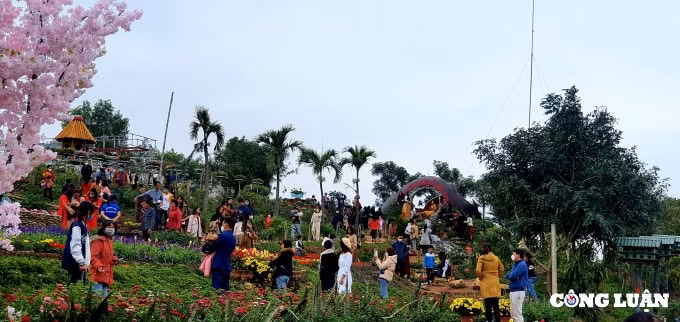 khu sinh thai da bac diem check in hut hon gioi tre ha tinh hinh 2