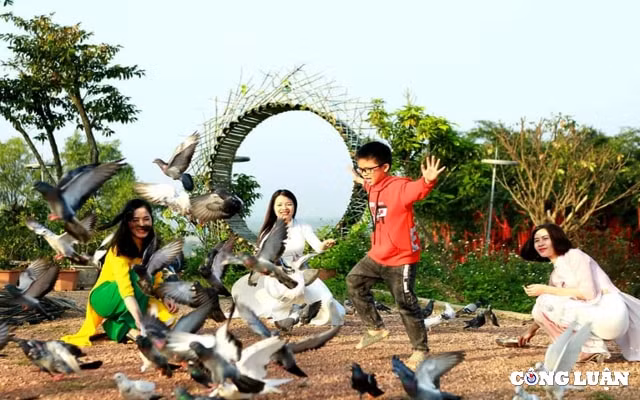 khu sinh thai da bac diem check in hut hon gioi tre ha tinh hinh 5