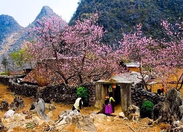 cao nguyen da dong van diem du lich dang di trong ngay xuan nham dan hinh 5