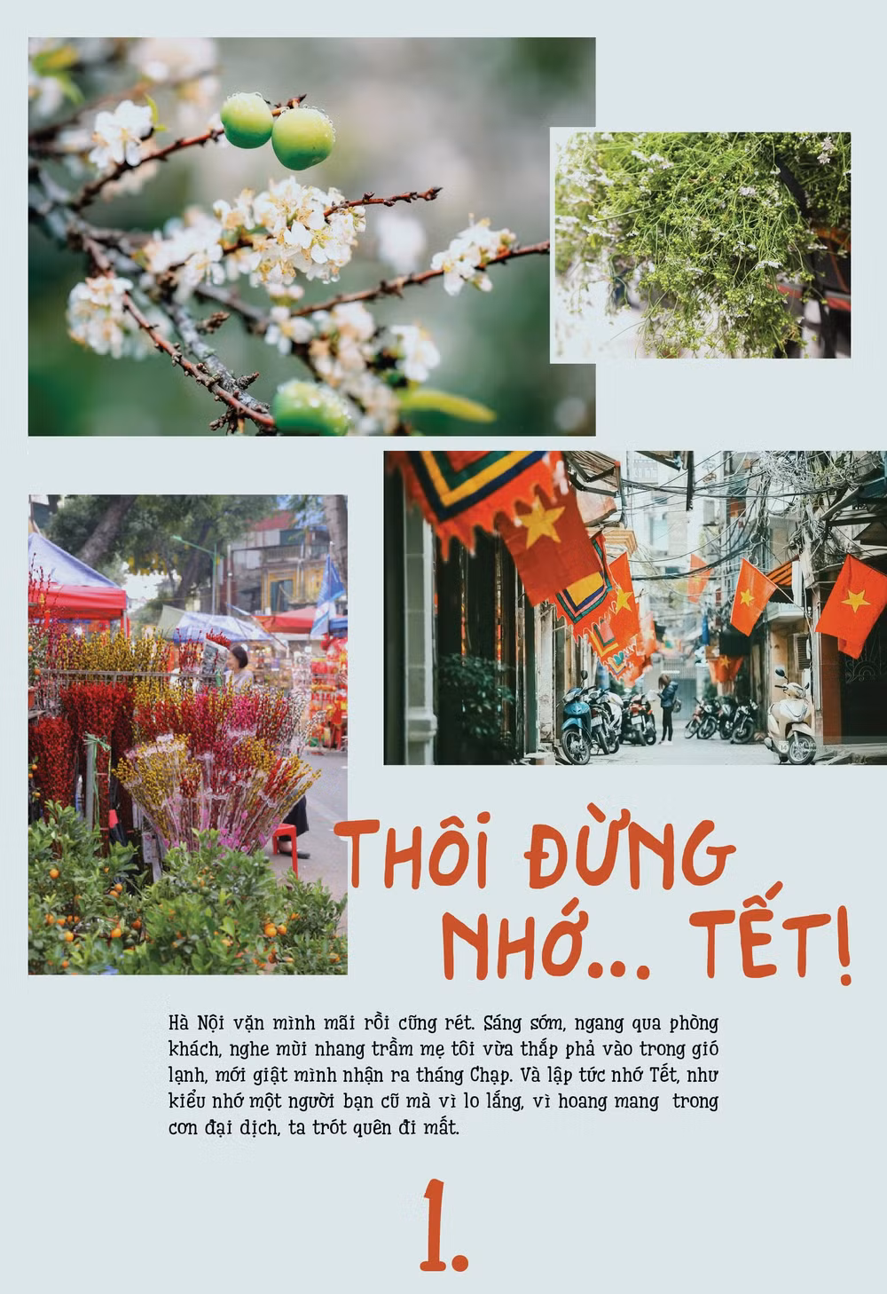 thoi dung nho tet hinh 1