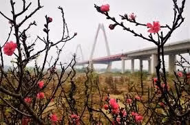 du bao thoi tiet 2 2 mung 2 tet nham dan mien bac tiep tuc xay ra ret dam ret hai hinh 1