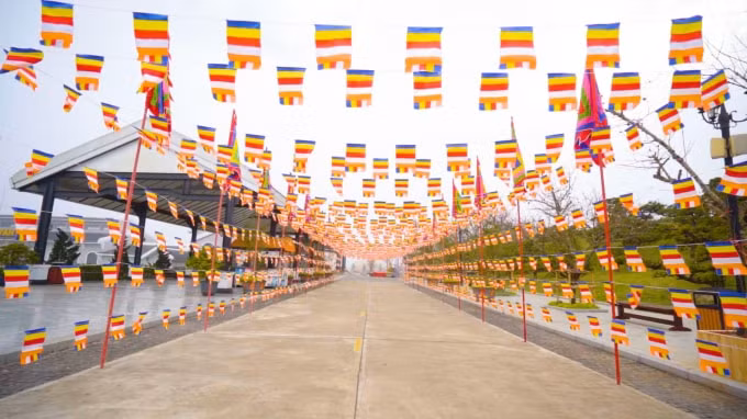 du khach phat tu thuong ngoan chiem bai fansipan dip tet nham dan hinh 6