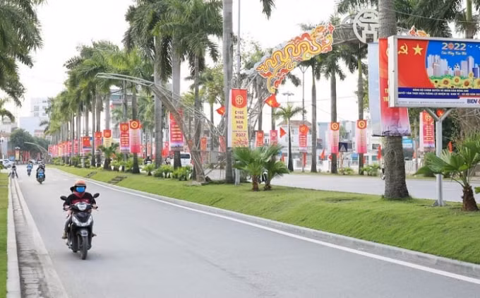 ha noi ruc ro co hoa mung dang mung xuan moi nham dan 2022 hinh 14