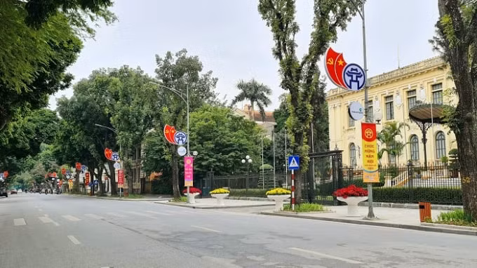 ha noi ruc ro co hoa mung dang mung xuan moi nham dan 2022 hinh 9