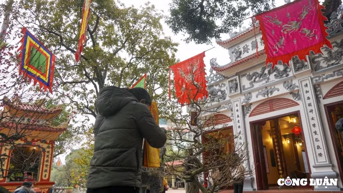 phu tay ho vang ve ngay dau mo cua tro lai hinh 5