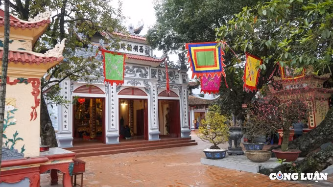 phu tay ho vang ve ngay dau mo cua tro lai hinh 3
