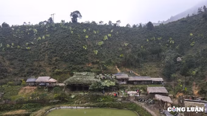 doc dao lop mai la co vung cao tay bac hinh 13