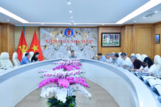 Đẩy nhanh tiến độ tổng kết, đánh giá việc thi hành Luật Kiểm toán nhà nước