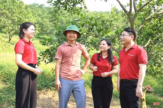 Vốn xanh Agribank vun đắp những mùa quả ngọt