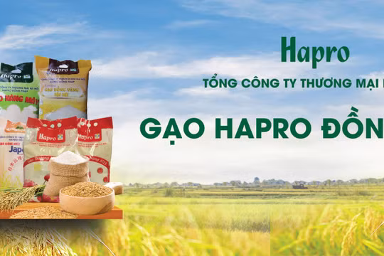Gạo Hapro Đồng Tháp - Nâng tầm hạt ngọc Việt 