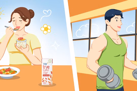 Sữa yến mạch: Lựa chọn dinh dưỡng từ thực vật cho cuộc sống hiện đại