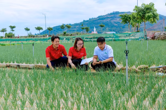 Dòng vốn vì dân sinh và sứ mệnh khơi nguồn lực “Tam nông”