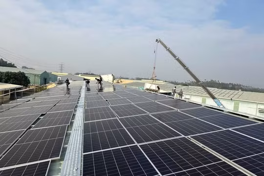Trung Đức Solar: Hành trình kiến tạo cuộc sống bền vững từ năng lượng xanh