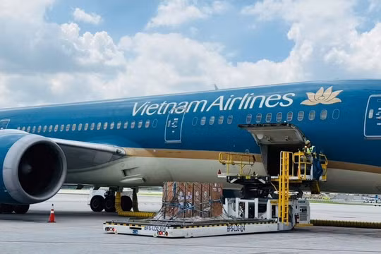 Vietnam Airlines đồng hành vận chuyển sếu đầu đỏ từ Thái Lan về Việt Nam, góp phần bảo tồn đa dạng sinh học