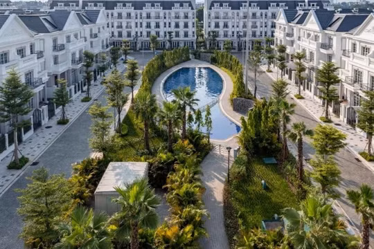 Bức tranh hạ tầng nghìn tỷ và làn sóng tái định giá bất động sản phía đông Hà Nội