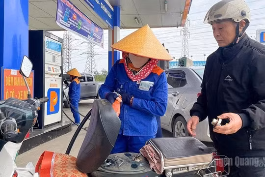 Petrolimex Tuyên Quang triển khai xăng sinh học E10 trên toàn tỉnh, hướng tới mục tiêu kinh tế xanh