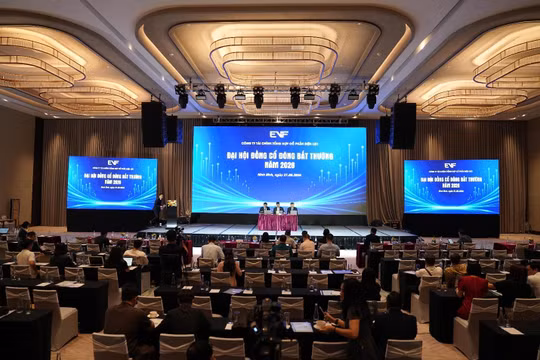 Một công ty tài chính mở rộng room ngoại, tìm kiếm cơ hội hợp tác quốc tế