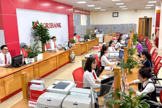 Ngân hàng Nông nghiệp và Phát triển nông thôn - Chi nhánh Nam Thanh Hóa: Tiếp tục giữ vững và phát huy thương hiệu Agribank Nam Thanh Hóa