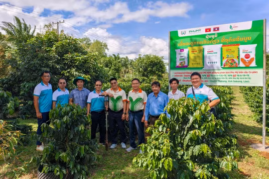 Phú Mỹ tăng cường hợp tác phát triển nông nghiệp tại Lào