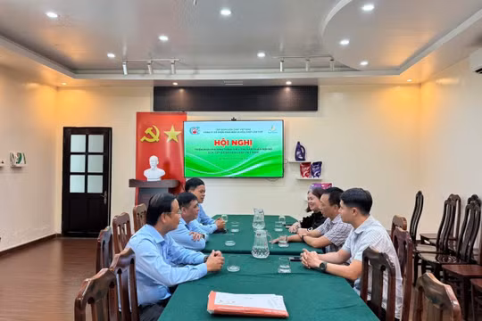 Phân bón Miền Nam và Phân bón & Hoá chất Cần Thơ tăng cường hợp tác tiêu thụ sản phẩm nội bộ