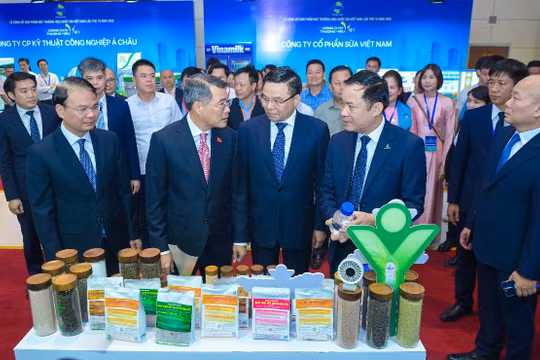 PVFCCo – Phú Mỹ lần thứ 7 liên tiếp đạt Thương hiệu quốc gia Việt Nam