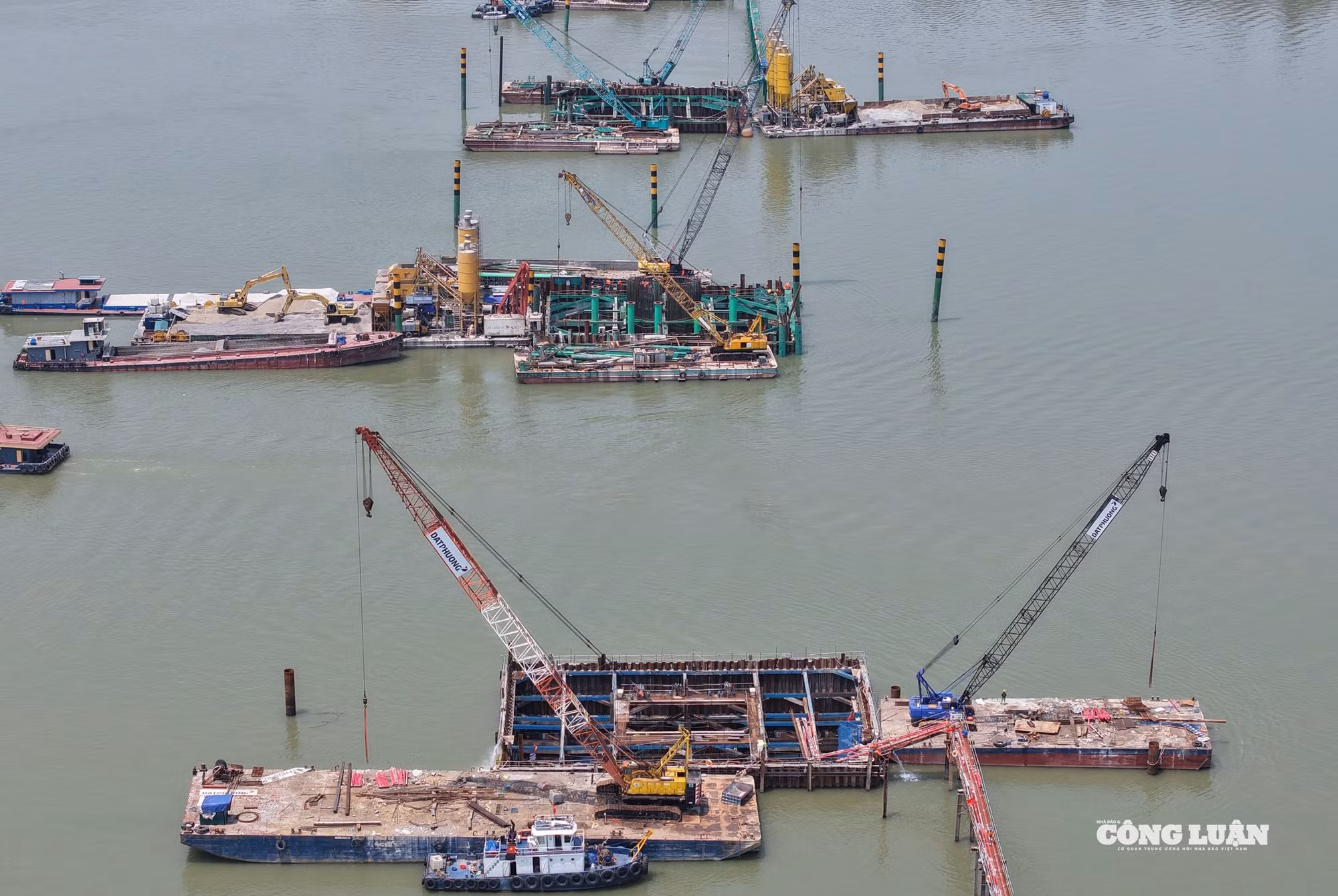 dji_20260428110550_0106_d.jpg