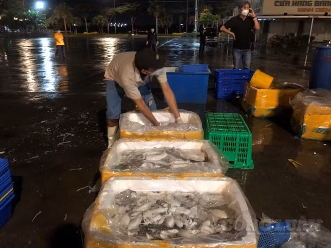 nhung xe hang dau tien cho day ap rau cu ca tuoi da ve cho dau moi binh dien hinh 10