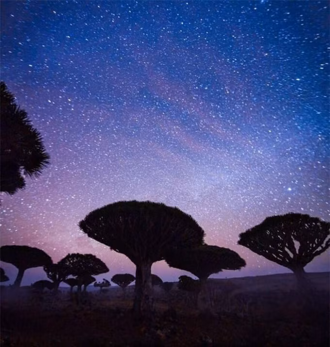 socotra ve dep sieu thuc cua dao cay huyet rong hinh 3