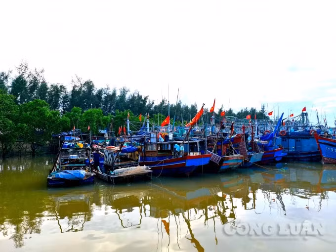 thanh hoa chu dong ung pho voi dien bien cua bao conson hinh 2