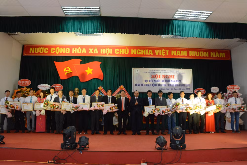 cong ty tnhh mtv cao su mang yang dong gop khong nho cho su phat trien cua tinh gia lai hinh 2