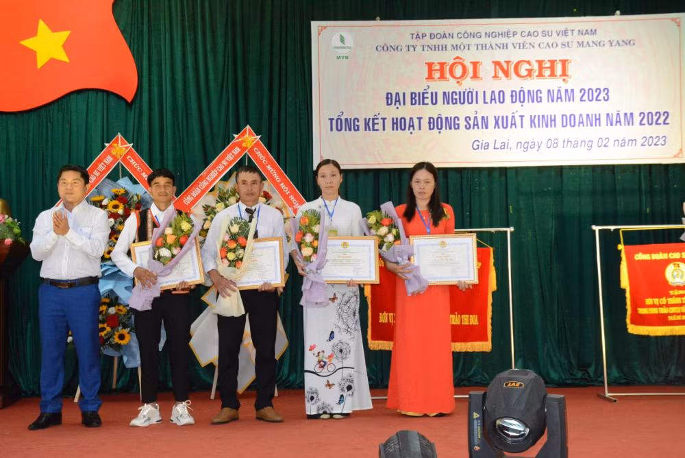 cong ty tnhh mtv cao su mang yang dong gop khong nho cho su phat trien cua tinh gia lai hinh 3