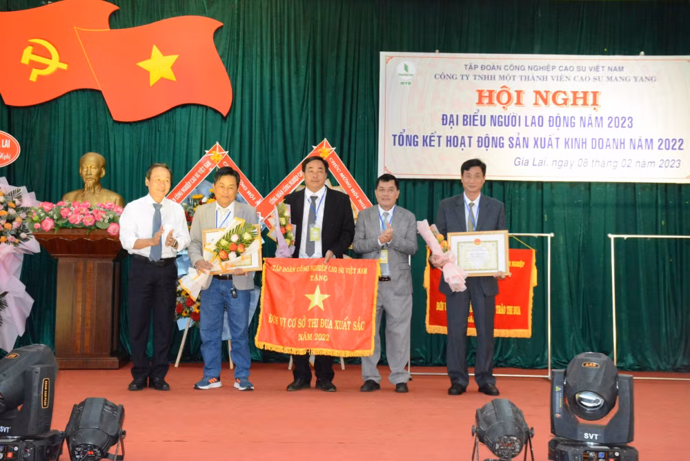 cong ty tnhh mtv cao su mang yang dong gop khong nho cho su phat trien cua tinh gia lai hinh 4