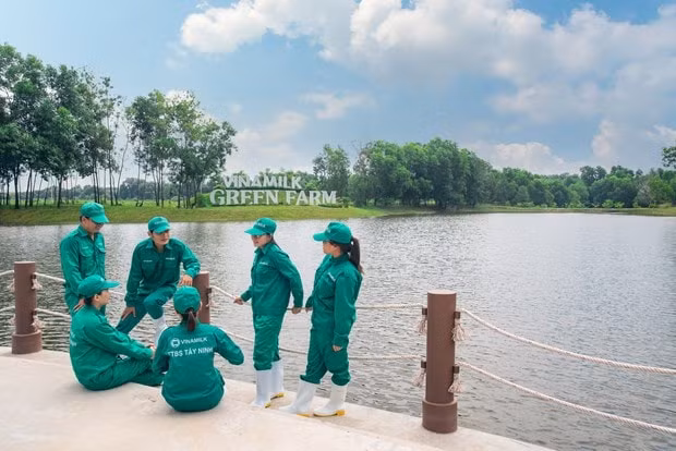 vinamilk duoc vinh danh la nha tuyen dung duoc yeu thich nhat nam 2022 hinh 3