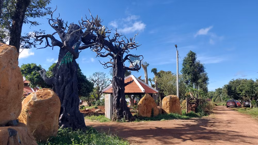 pleiku gia lai biet phu trai phep ngang nhien ton tai sau hang loat quyet dinh cuong che hinh 1
