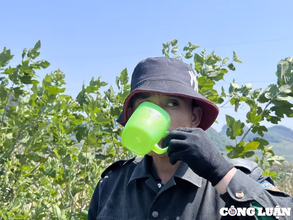 nguoi nong dan dam mo hoi duoi nang nong cao do hinh 3
