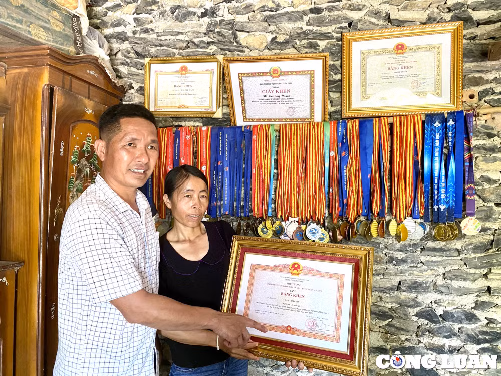 ghe tham nha co gai vang mon lan tai sea games 32 hinh 1