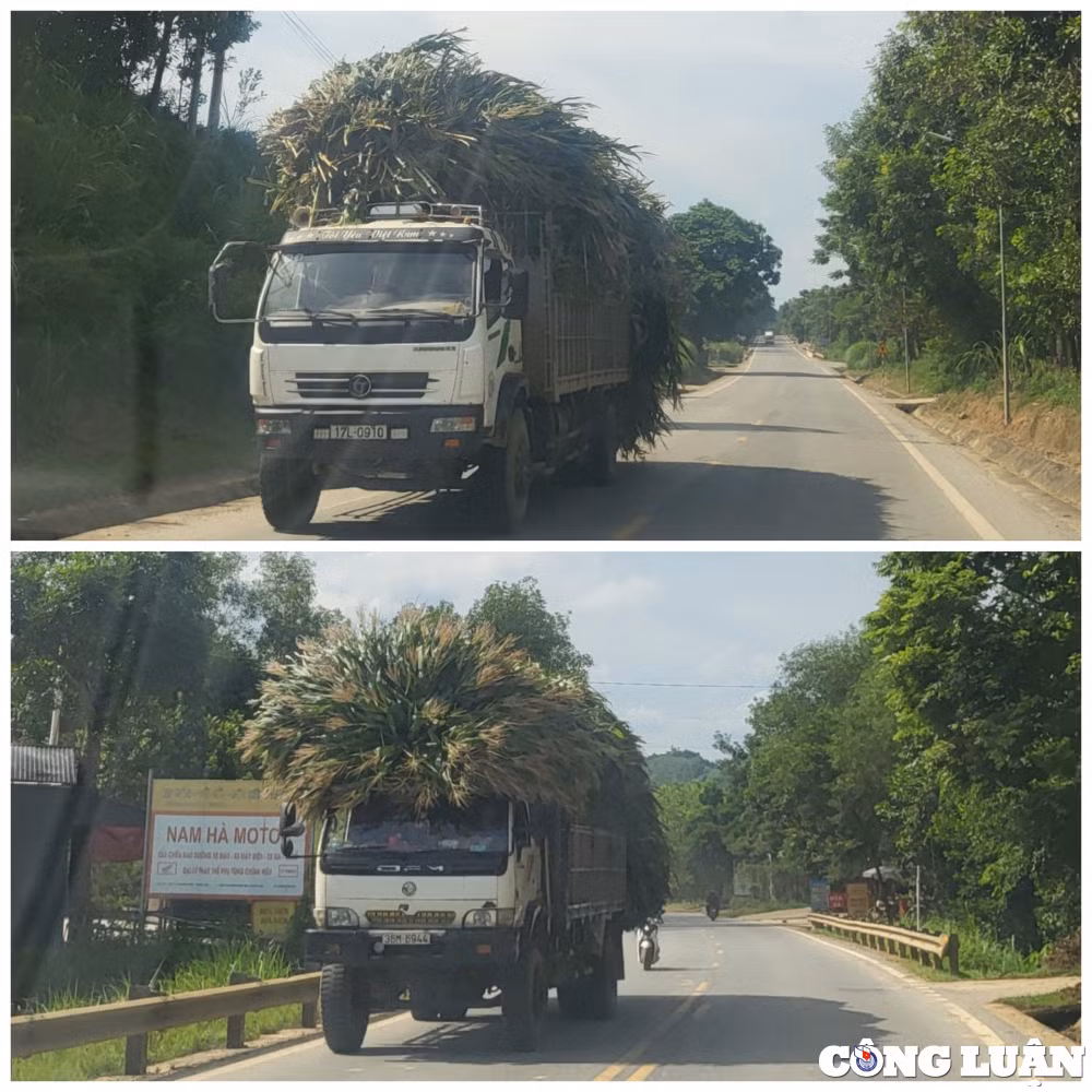thanh hoa loat xe cho hang cong kenh luu thong tren duong mon hinh 2