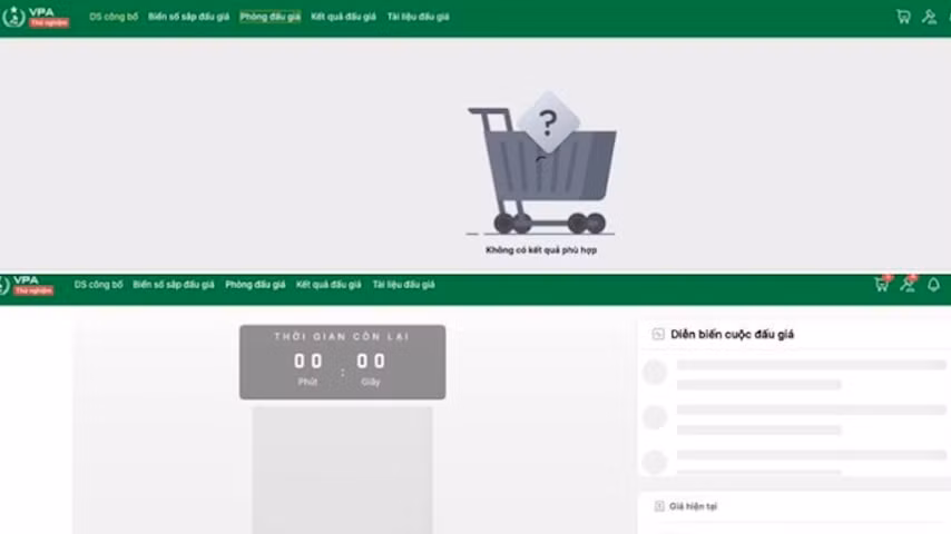 trang web dau gia bien so dep bi sap vi qua tai hinh 1