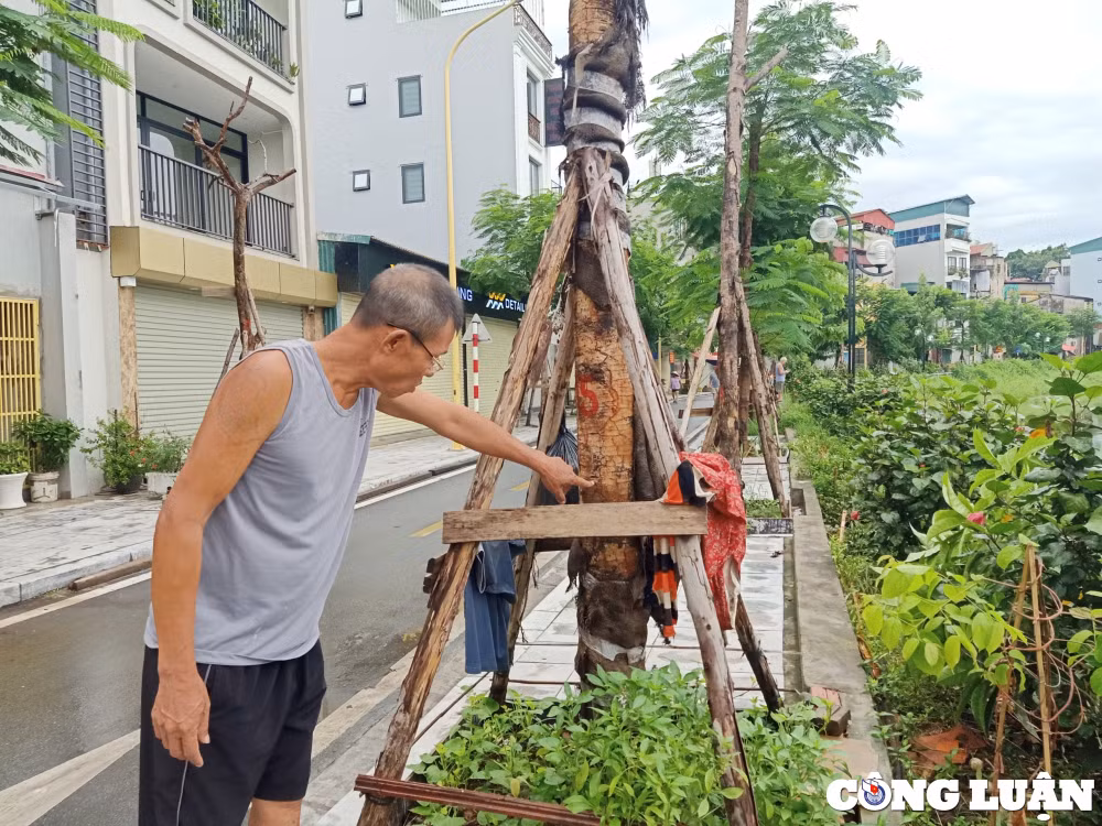 ho linh quang van chua thoat canhao tu nuoc dong ngap tran rac thai hinh 7