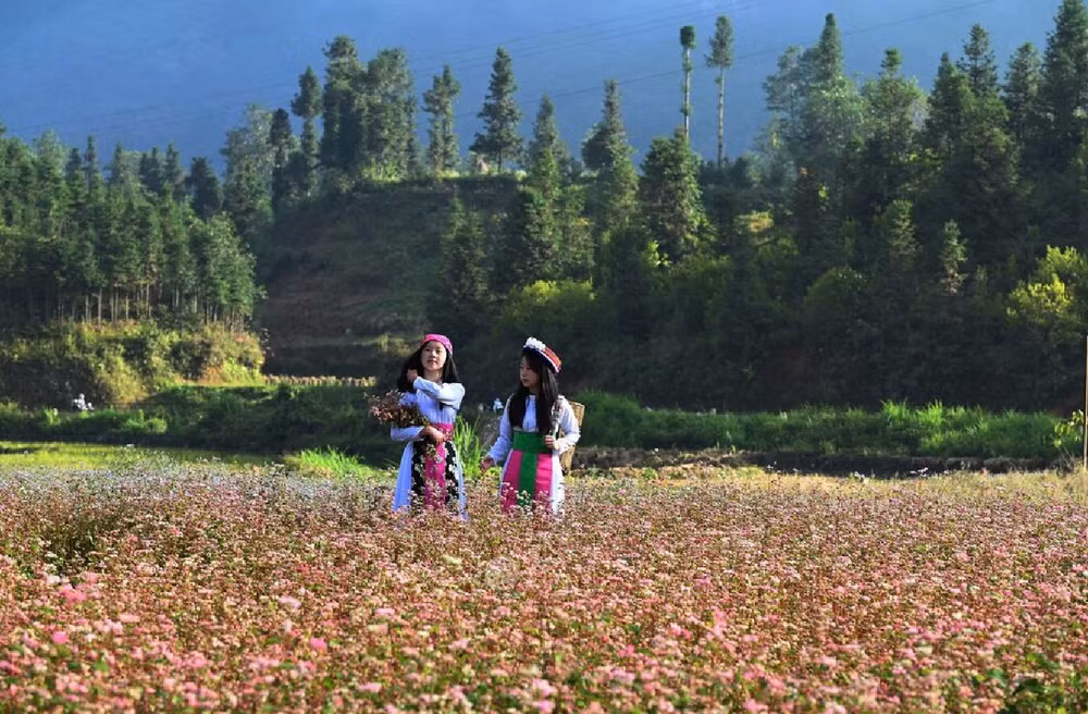 Ảnh màn hình 2025-11-30 lúc 06.47.51