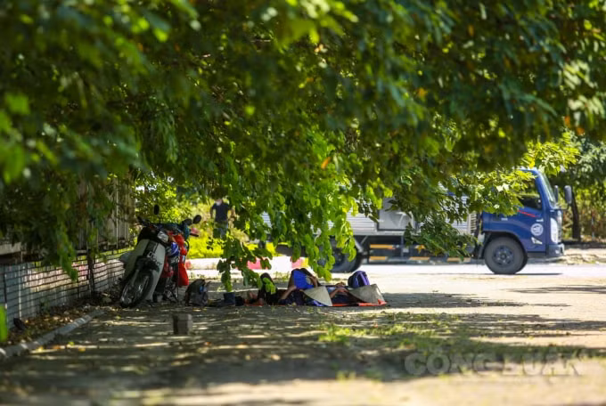 Nhiều người lao động, sau khi làm việc xong. Buổi trưa chọn bóng cây bên đường làm chỗ ngả lưng.