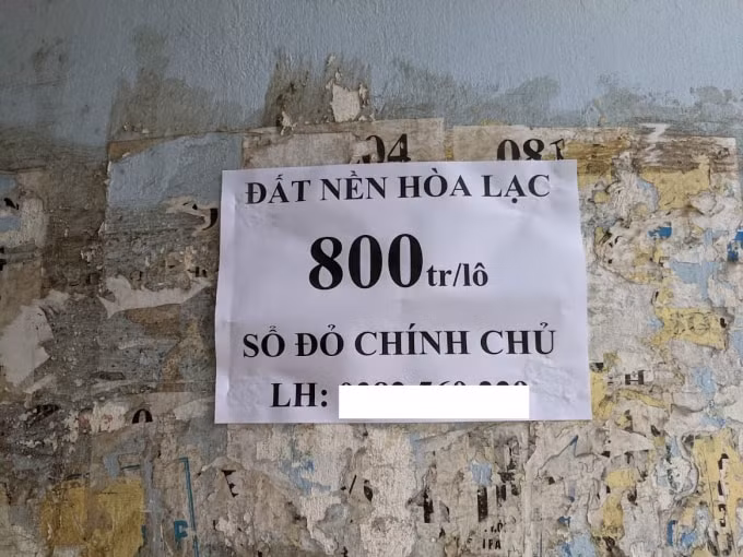 Cò đất cam kết bỏ ra 800 triệu đồng, sau 3 tháng lời 50 triệu đồng.