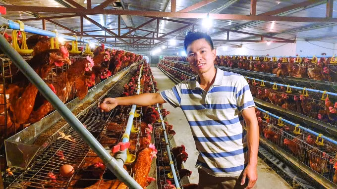 Anh Trần Bùi Nam (xã Mỹ Trung, huyện Mỹ Lộc, tỉnh Nam Định) bên trong trang trại nuôi gà đẻ công nghệ cao của mình.