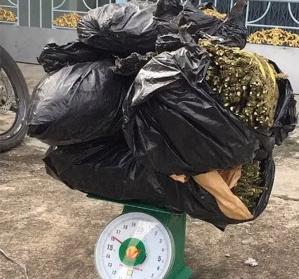 Các bọc ni lông trên xe có chứa hơn 16 kg hoa và thân cây, nghi đều là cần sa.